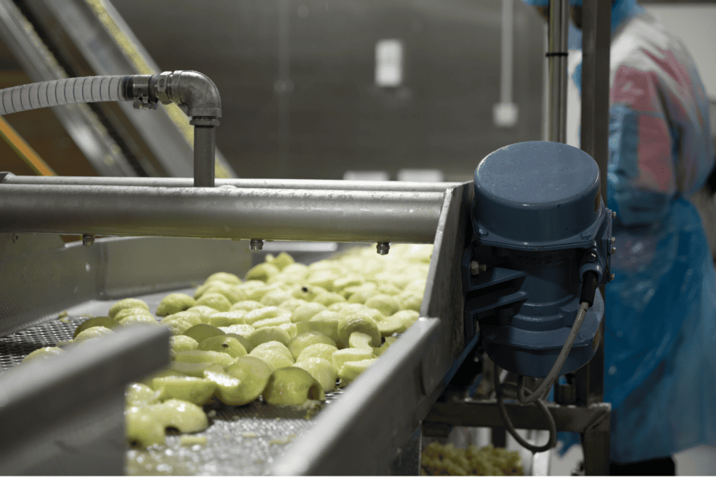 What measures are taken to ensure food safety and quality in fruit processing | Avondale Foods