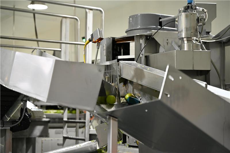 Reduce The Environmental Impact In Fruit Processing | Avondale Foods