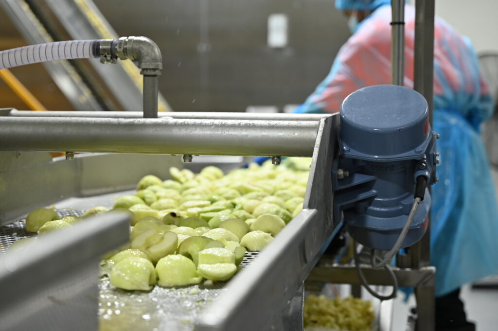 How do we maintain natural flavour and colour in our fruit ingredients?