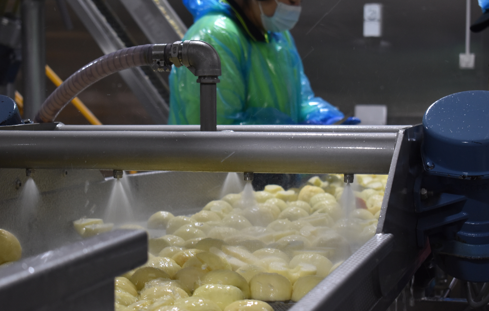 How do we maintain natural flavour and colour in our fruit ingredients?